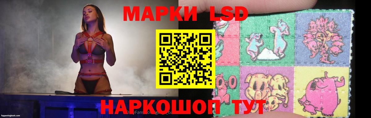 blacksprut сайт  Лсд 25 экстази ecstasy  ЛСД экстази кислота  Вход с VPN  Нижний Новгород 