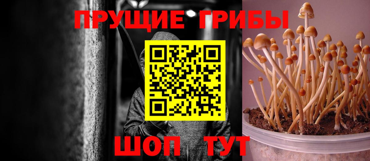 Нижний Новгород  Галлюциногенные грибы мицелий  Вход с VPN  Галлюциногенные грибы Psilocybine cubensis 