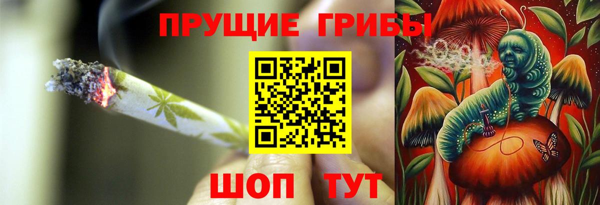 Галлюциногенные грибы Psilocybine cubensis Нижний Новгород